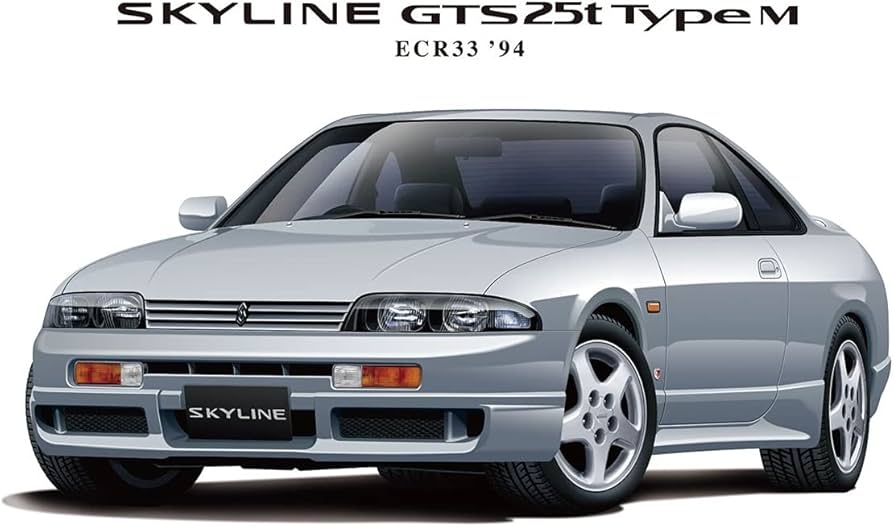 Aoshima 1/24 Scale The Series No. 94 ECR33 Skyline GTS25T Type M 1994