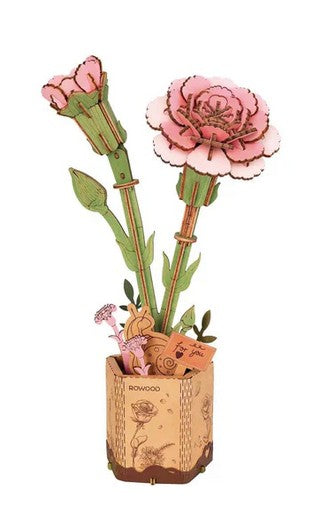 Pink Carnation